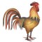 Large Rooster Wall Stencil | 480 by Designer Stencils | Animal & Nature Stencils | Reusable Art Craft Stencils for Painting on Walls, Canvas, Wood | Reusable Plastic Paint Stencil for Home Makeover | Easy to Use & Clean Art Stencil